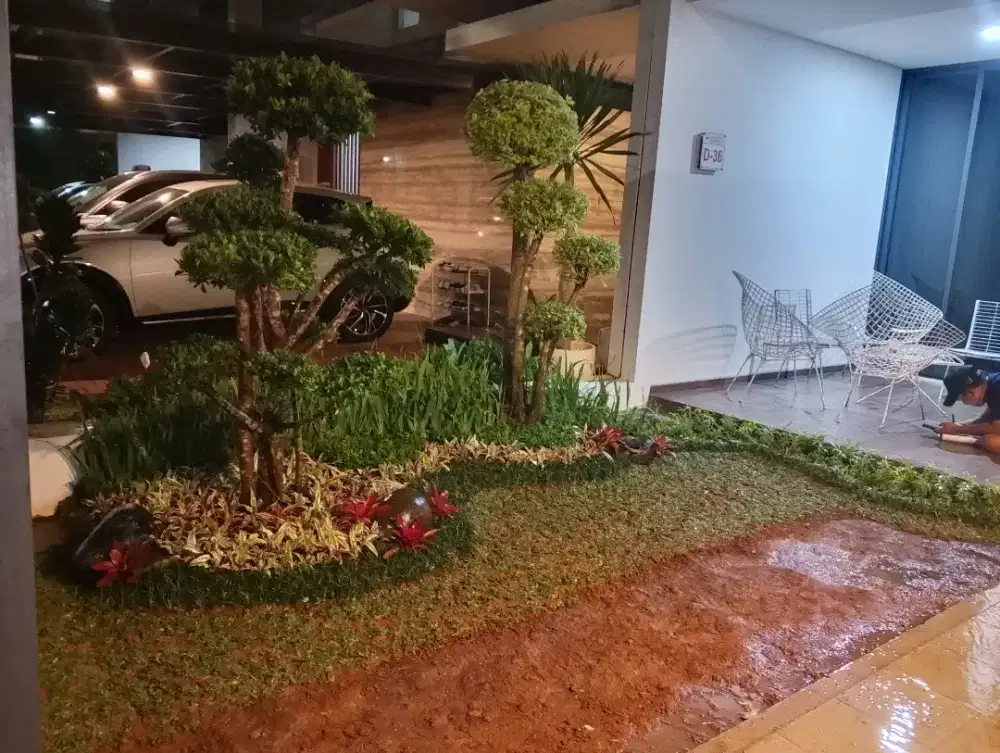 Menerima dekorasi taman rumput