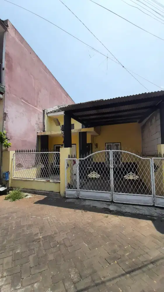 Disewakan rumah