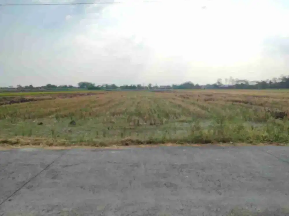 Tanah Persawahan Luas 1.365m² di Ngemplak Boyolali