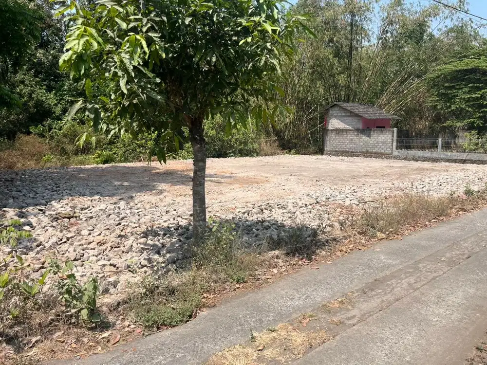 Tanah pekarangan