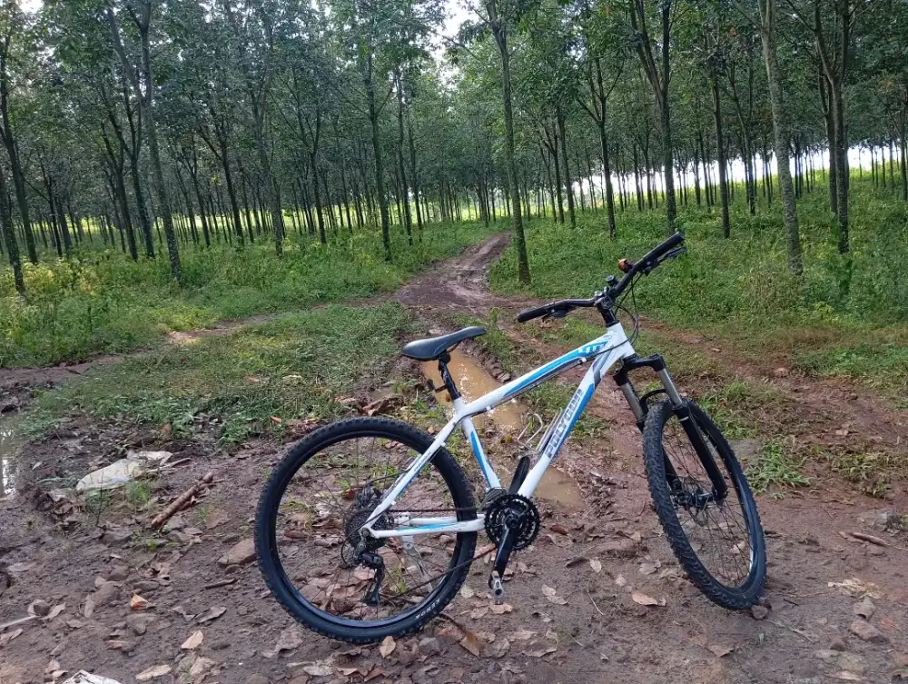 Sepeda mtb polygon premier 4
