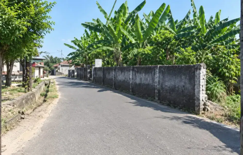 Dijual Tanah Kosong Via Lelang - Pasuruan