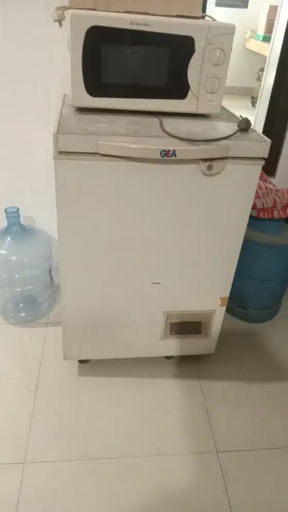 Freezer GEA 100L