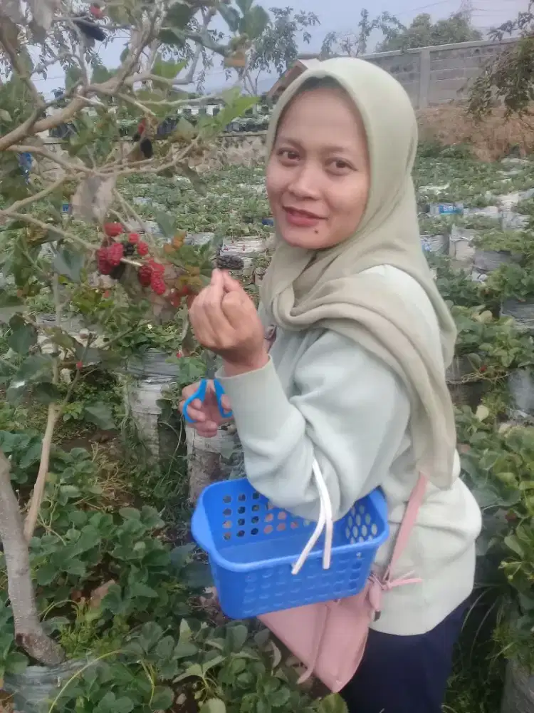 Mencari pekerjaan