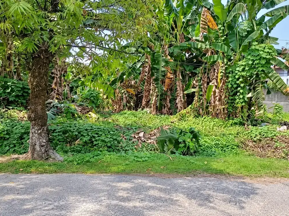 Dijual Kavling di jalan Sedap Malam, Depok