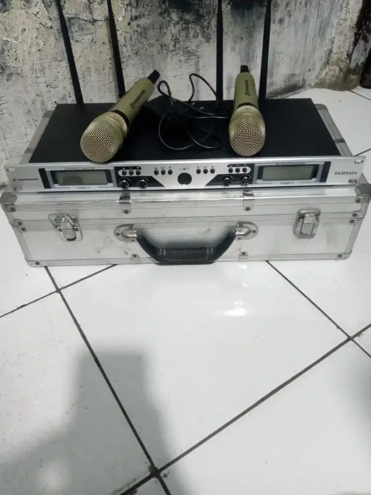 MIC WERLES SENNHEISER