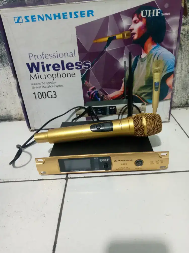 MIC WERLES SENNHEISER