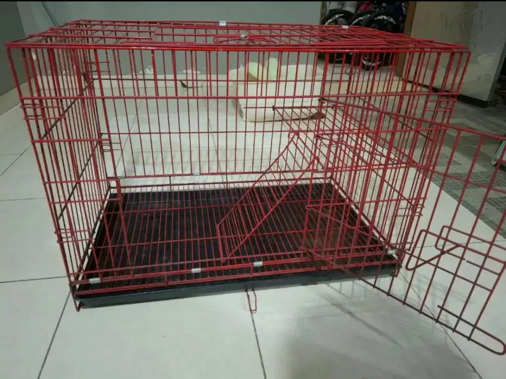 Jual perlengkapan kucing bekas