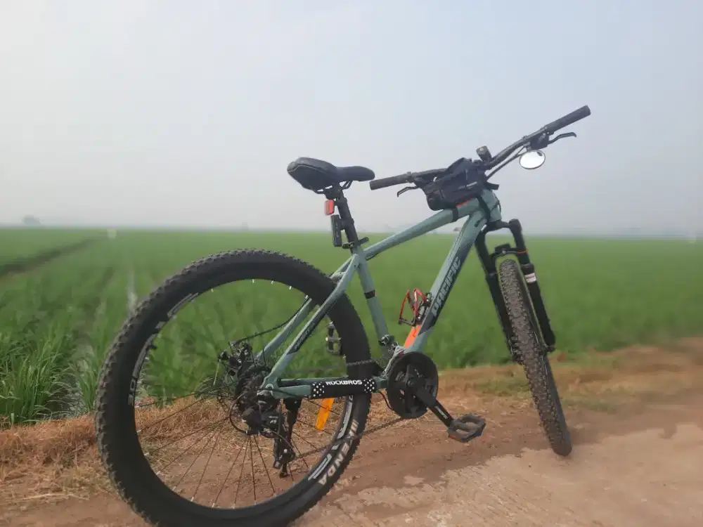 Sepeda pacivic warna hijau