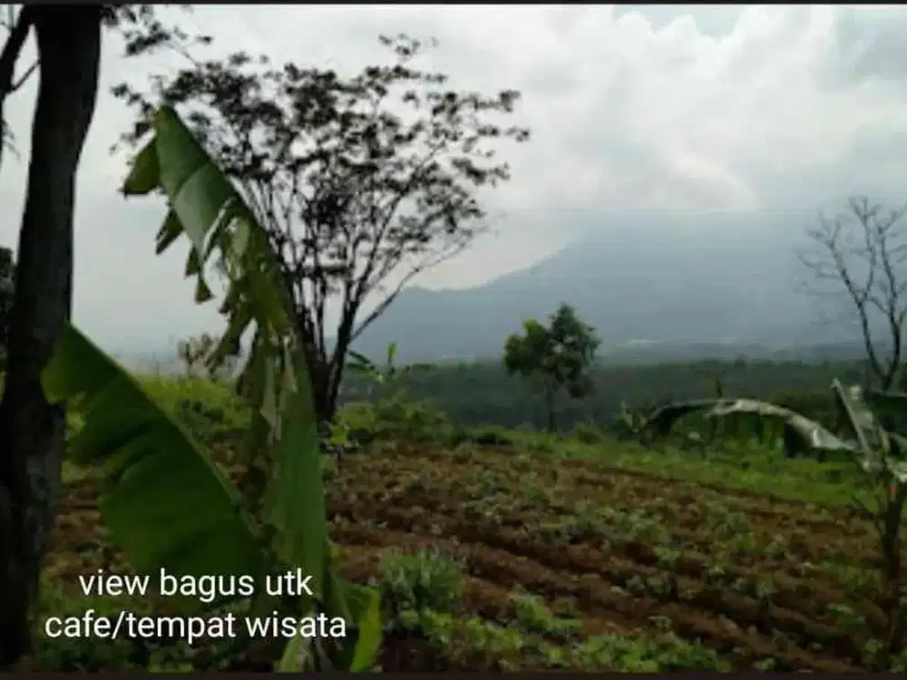 Desa Cembor - Pacet