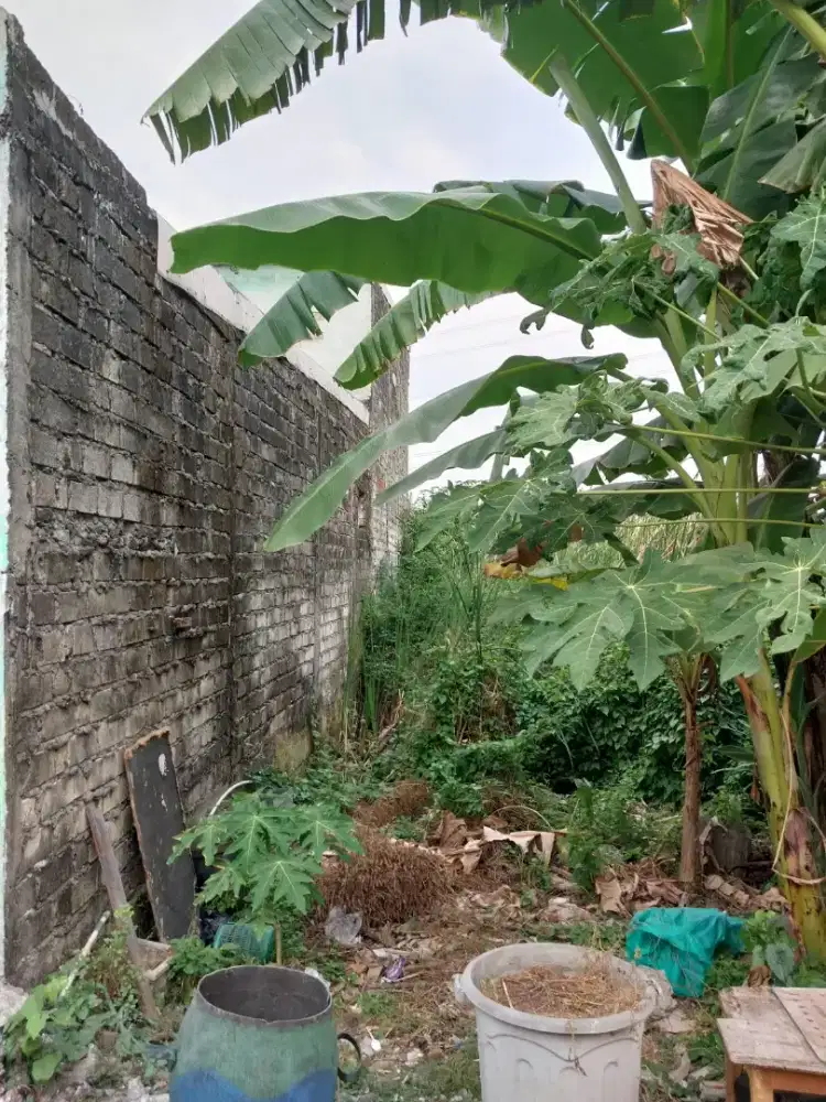 DIJUAL TANAH DI SUMBEREJO MAKMUR