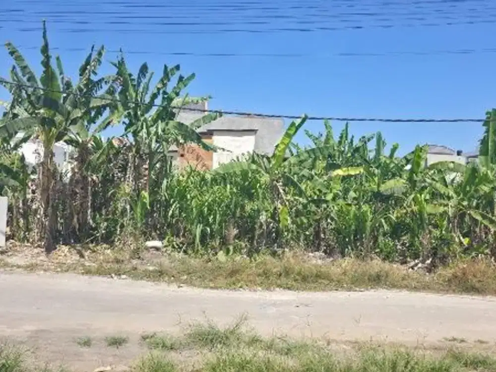 Tanah 156m2 Tumbak Bayuh Canggu Badung
