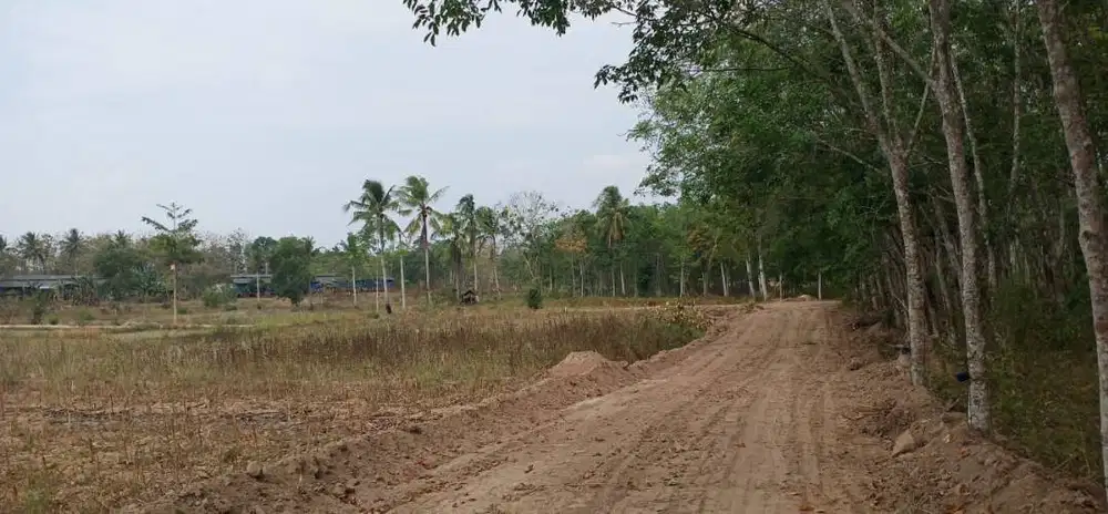 Tanah MURAH RIYACUDU
