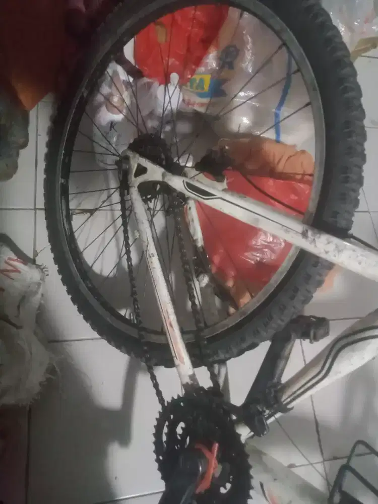 Velg sepeda Exotic Pacifik