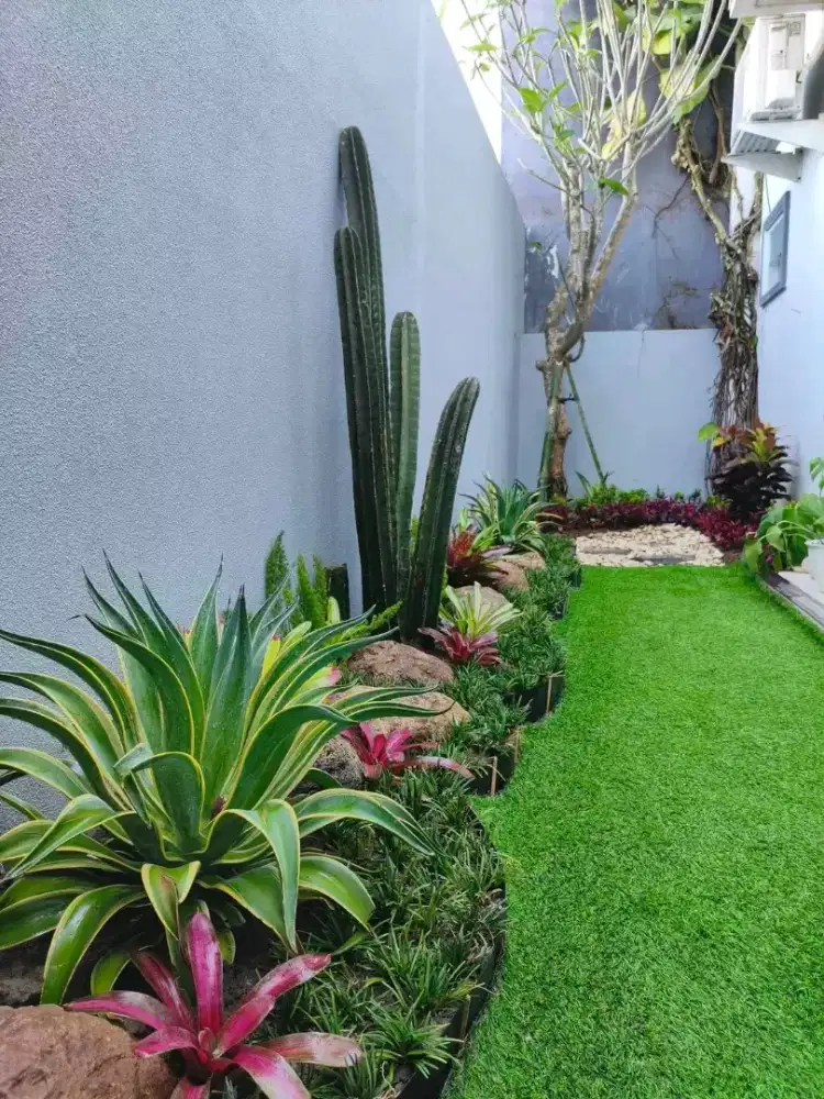 Tukang pembuat Taman dan kolam koi