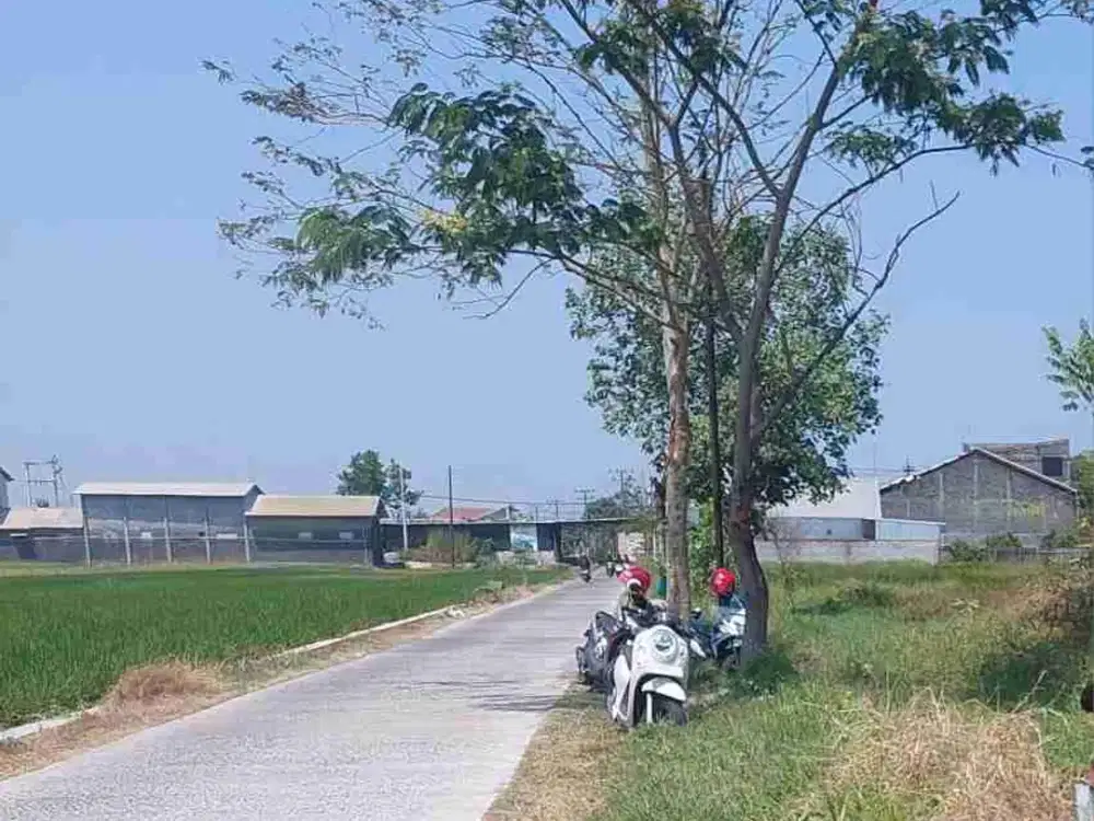 Dijual Zona merah 9802m di wonosari klaten