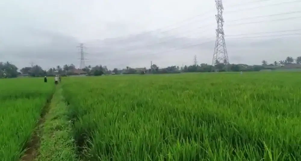 Dijual Tanah Kavling Murah