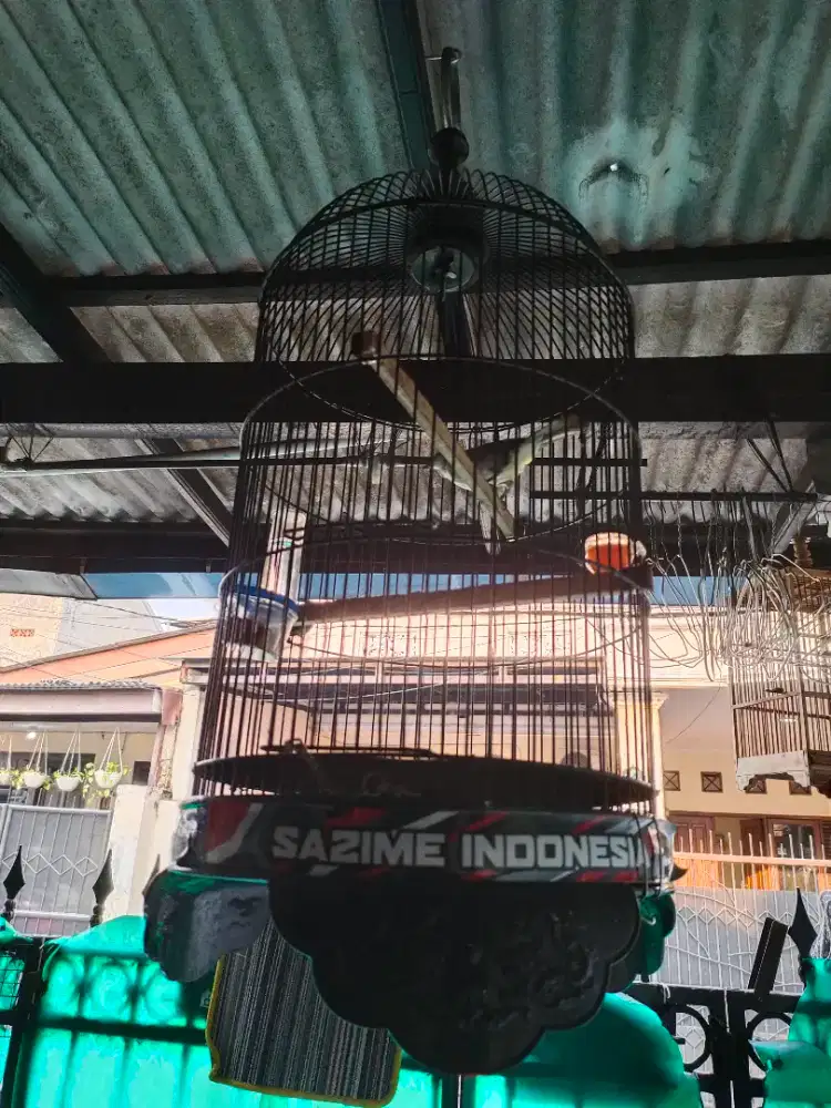Jual Trucukan Full Set