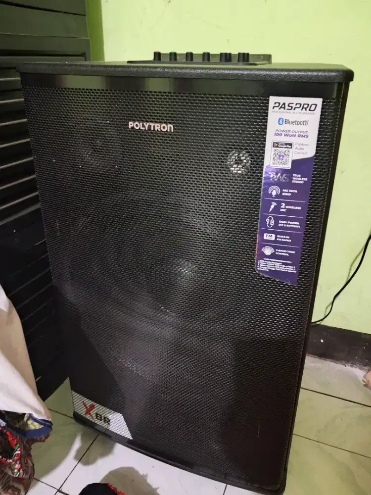Speaker polytron pass prof