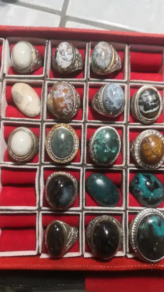 Jual Banyak pilihan bacan kembang gurango elektrik albino