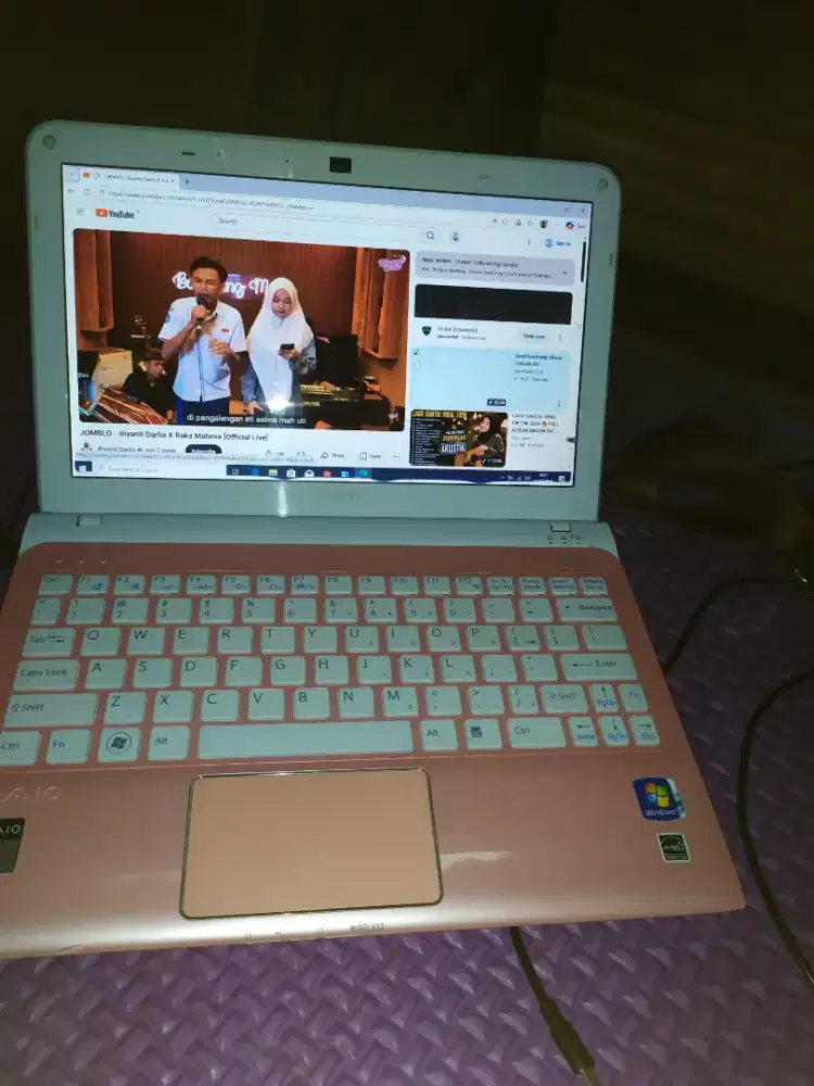 Netbook Sony Vaio