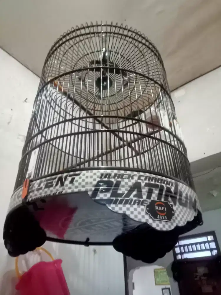 Kandang murai seken rasa baru