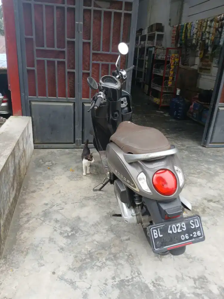 Honda Scoopy Tahun 2021