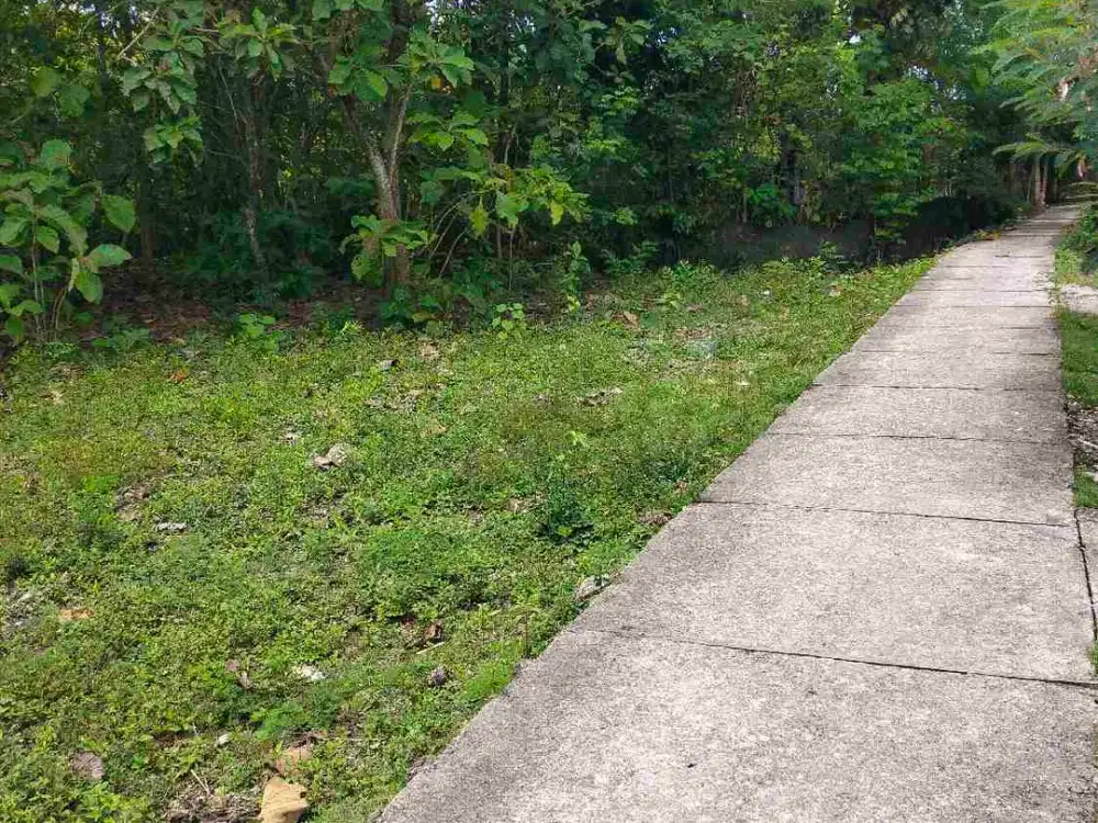 Tanah Kebun Ngawi
