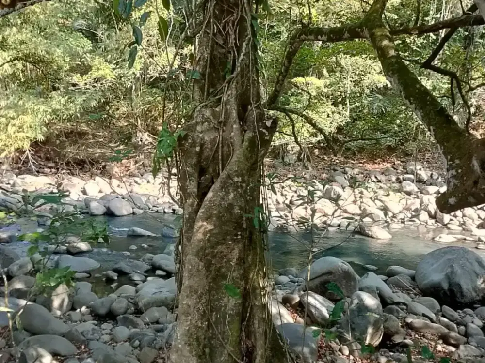 Dijual Tanah Lokasi Strategis Kontur Lahan Datar Siap Bangun