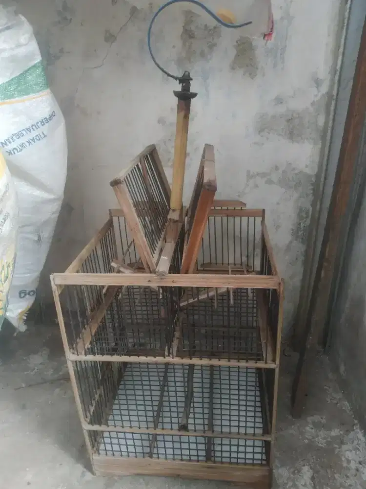kandang jebak burcil