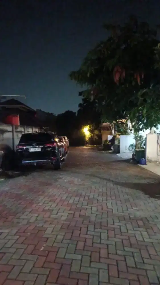 Dicari art wanita pengalaman