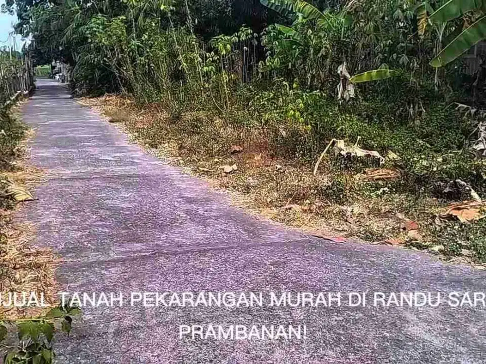 DIJUAL TANAH PEKARANGAN MURAH RANDU SARI PRAMBANAN KLATEN