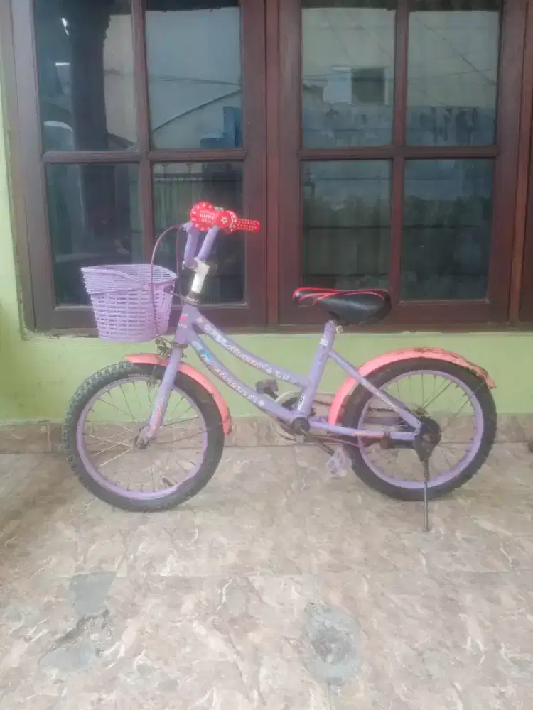 Sepeda anak langsung pake ukuran 16