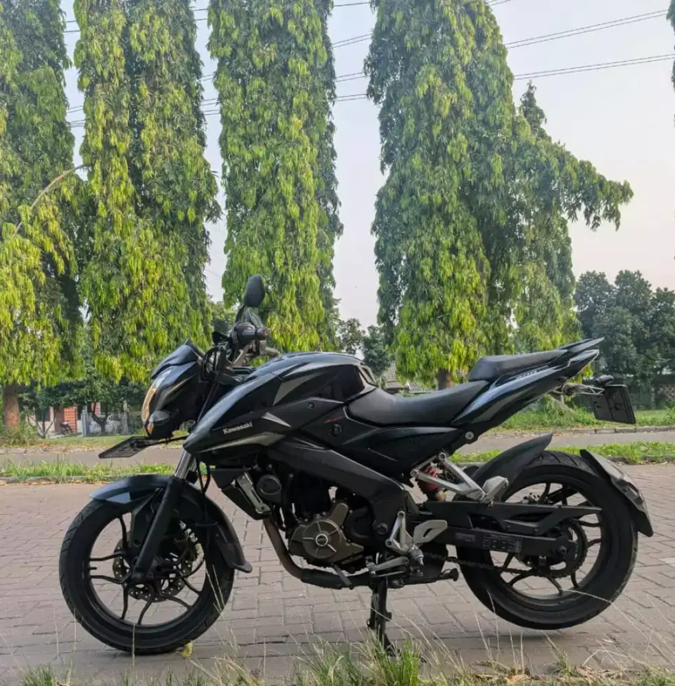 Kawasaki Bajaj Pulsar 200ns