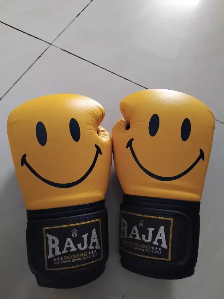 Glove boxing dan muaythai