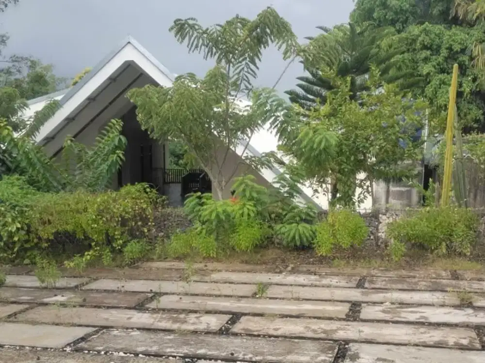 Tanah murah pantai nelayan canggu