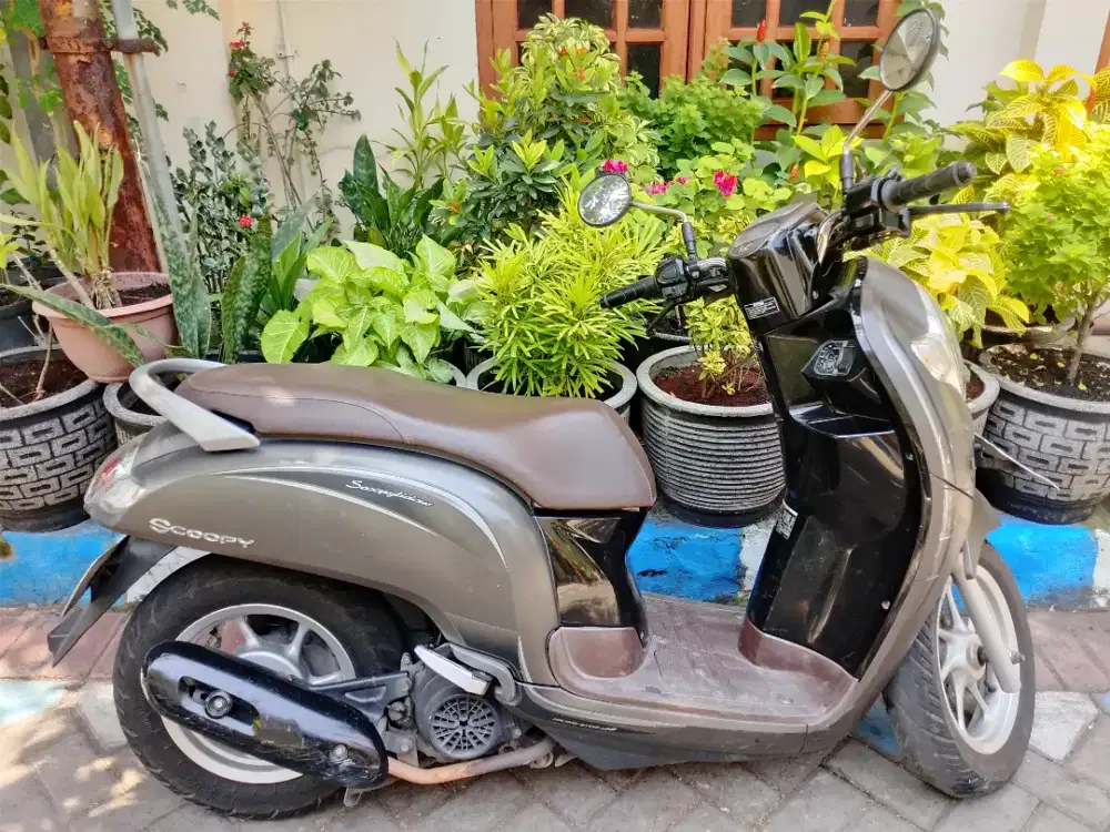 SCOOPY STYLISH MATTE BROWN