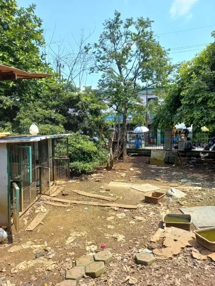 Disewakan Lahan Kosong daerah Ciomas