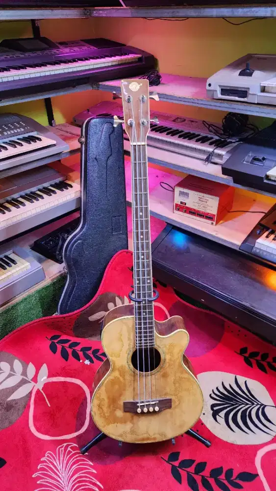 Bass acoustic elektrik belcat