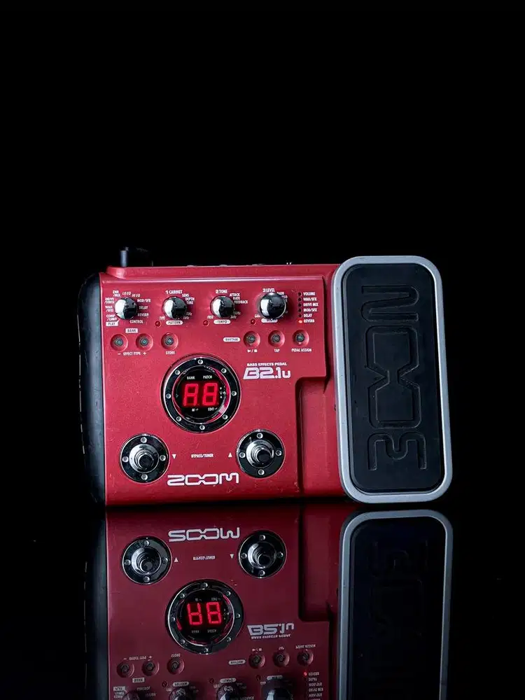 ZOOM B2.1u Bass Effect