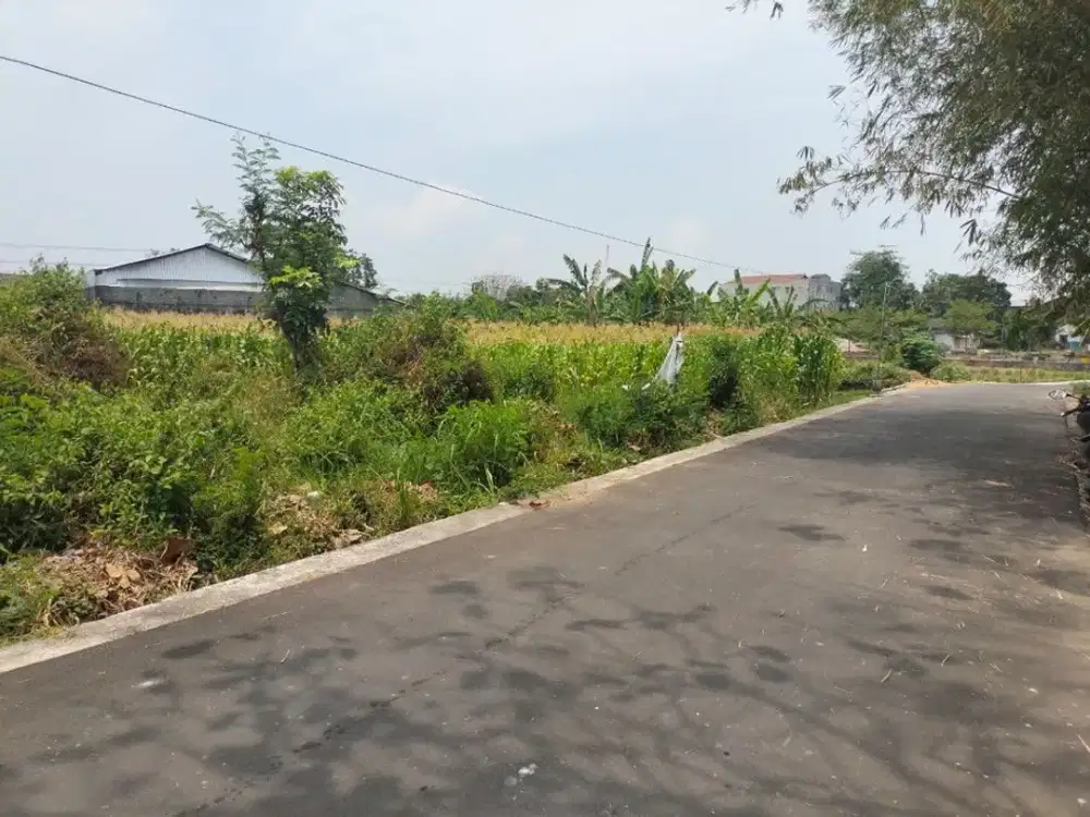 Dijual Sawah di Belang Wetan, Klaten Utara - Cocok untuk Lahan Pertanian