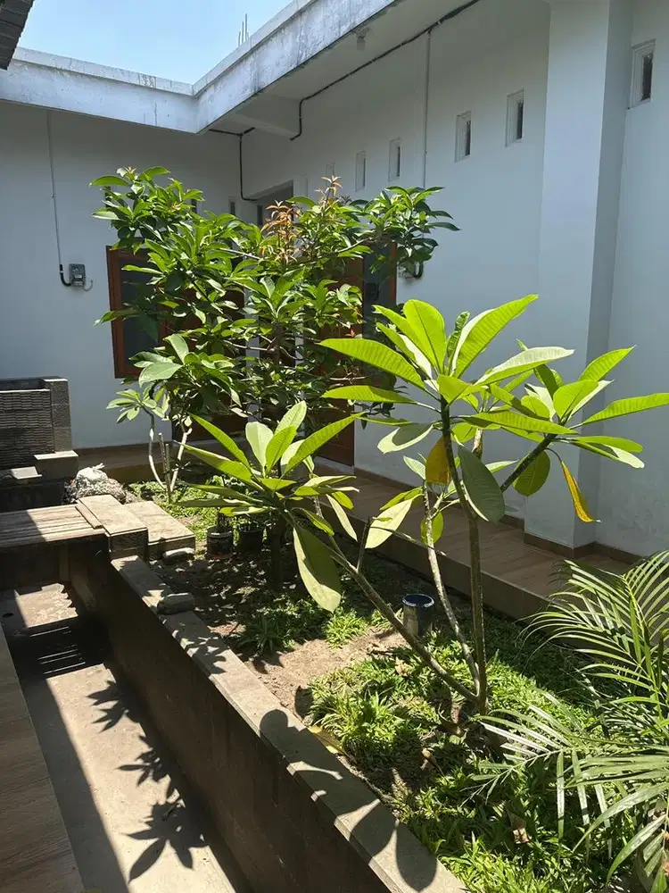 Kamar Kos Putri Murah Wif