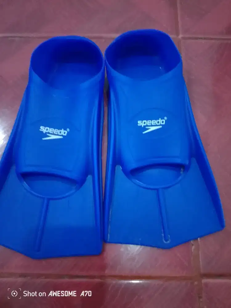 Sepatu katak merk Speedo