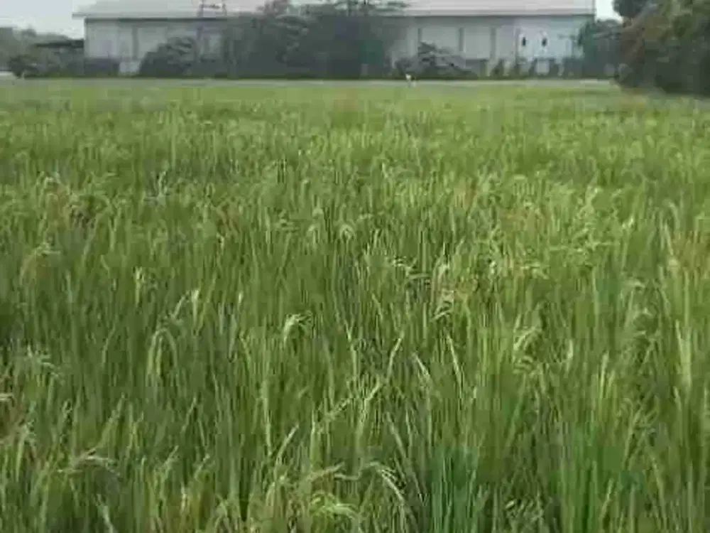 Dijual Tanah Di Jababeka Zona Industri