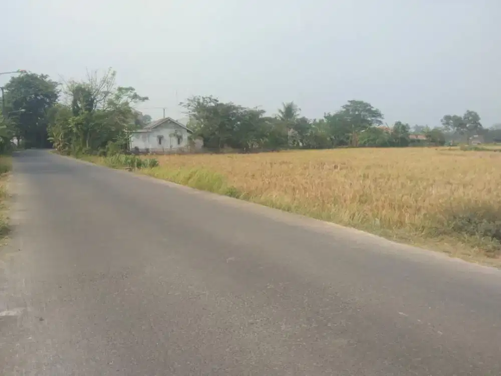 DIJUAL TANAH LUAS 1,62 HEKTARE – CIPAYUNG, CIKARANG TIMUR, BEKASI