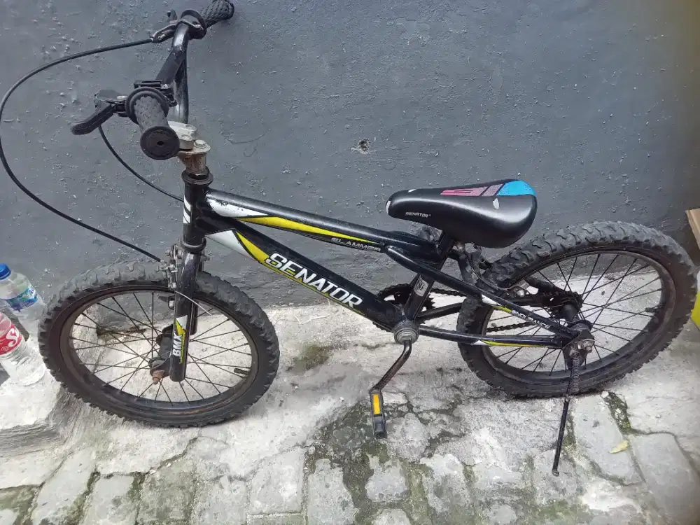Bmx Senator Uk18
