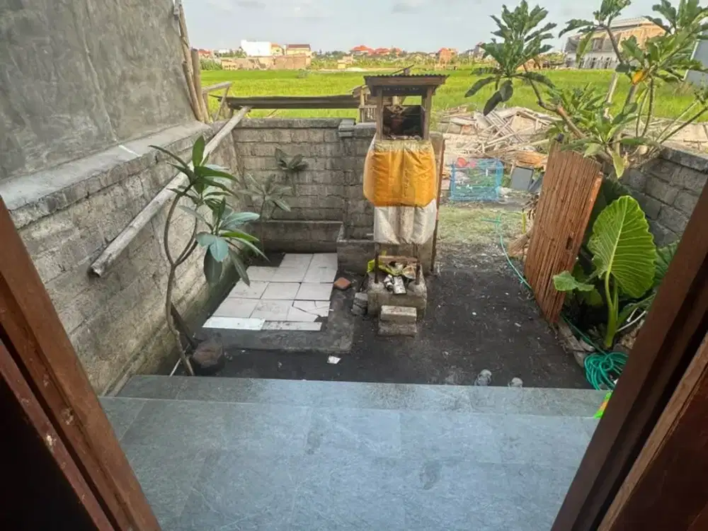 SEWA RUMAH MURAH DENPASAR SELATAN TIGA KAMAR FURNISHED