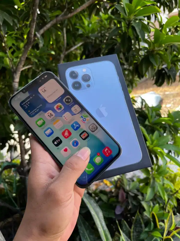 iPhone 13 pro 256 gb resmi