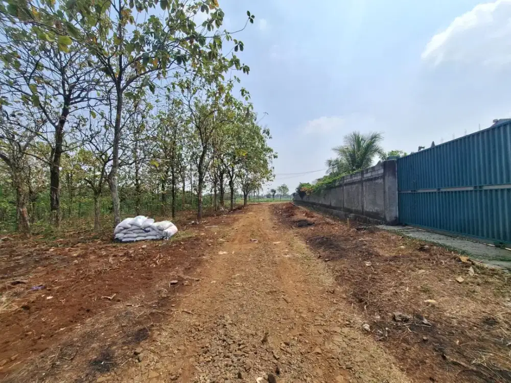 Tanah SHM 100Jtan Dekat Calon Tol Bomang - Strategis Invest/Hunian - 5 Menit Jl Raya Bomang