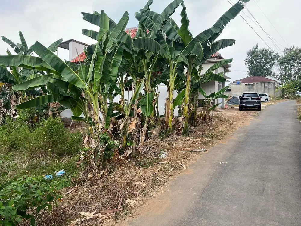 Tanah dijual cepat